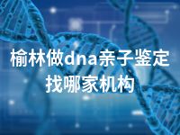 榆林做dna亲子鉴定找哪家机构