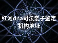 红河dna司法亲子鉴定机构地址