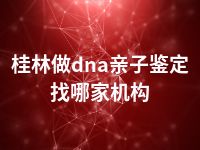 桂林做dna亲子鉴定找哪家机构