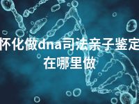 怀化做dna司法亲子鉴定在哪里做