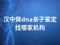 汉中做dna亲子鉴定找哪家机构