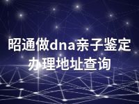 昭通做dna亲子鉴定办理地址查询