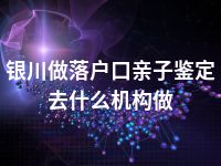 银川做落户口亲子鉴定去什么机构做