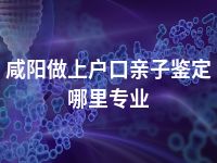 咸阳做上户口亲子鉴定哪里专业