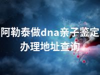 阿勒泰做dna亲子鉴定办理地址查询