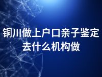 铜川做上户口亲子鉴定去什么机构做