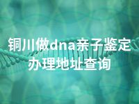 铜川做dna亲子鉴定办理地址查询