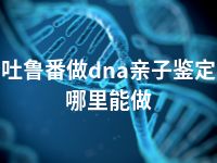 吐鲁番做dna亲子鉴定哪里能做