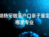 胡杨河做落户口亲子鉴定哪里专业