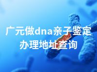 广元做dna亲子鉴定办理地址查询