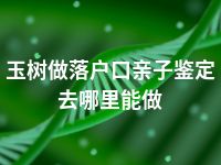 玉树做落户口亲子鉴定去哪里能做