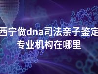 西宁做dna司法亲子鉴定专业机构在哪里