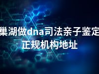 巢湖做dna司法亲子鉴定正规机构地址