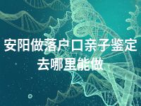 安阳做落户口亲子鉴定去哪里能做