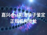 嘉兴dna司法亲子鉴定正规机构地址