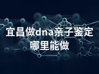 宜昌做dna亲子鉴定哪里能做