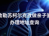 克孜勒苏柯尔克孜做亲子鉴定办理地址查询