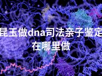 昆玉做dna司法亲子鉴定在哪里做