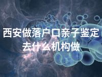 西安做落户口亲子鉴定去什么机构做