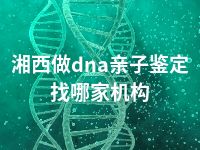 湘西做dna亲子鉴定找哪家机构