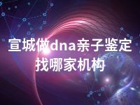 宣城做dna亲子鉴定找哪家机构