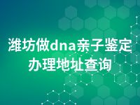 潍坊做dna亲子鉴定办理地址查询