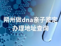 朔州做dna亲子鉴定办理地址查询