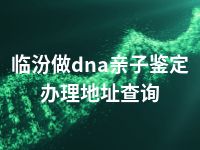 临汾做dna亲子鉴定办理地址查询