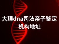 大理dna司法亲子鉴定机构地址