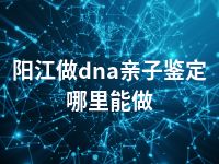 阳江做dna亲子鉴定哪里能做