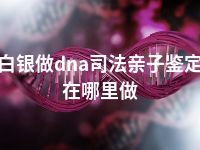 白银做dna司法亲子鉴定在哪里做