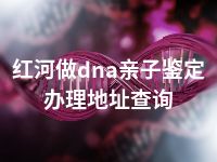 红河做dna亲子鉴定办理地址查询