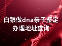 白银做dna亲子鉴定办理地址查询