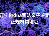 万宁做dna司法亲子鉴定正规机构地址