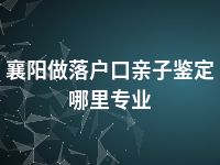 襄阳做落户口亲子鉴定哪里专业