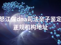 怒江做dna司法亲子鉴定正规机构地址