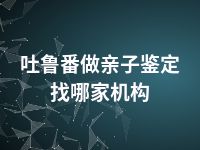 吐鲁番做亲子鉴定找哪家机构