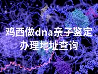 鸡西做dna亲子鉴定办理地址查询