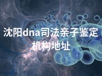 沈阳dna司法亲子鉴定机构地址