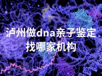 泸州做dna亲子鉴定找哪家机构