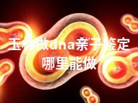 玉林做dna亲子鉴定哪里能做