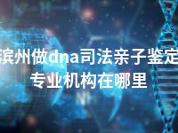 滨州做dna司法亲子鉴定专业机构在哪里