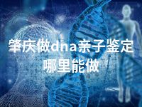 肇庆做dna亲子鉴定哪里能做