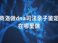 商洛做dna司法亲子鉴定在哪里做