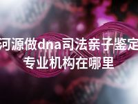 河源做dna司法亲子鉴定专业机构在哪里