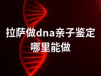 拉萨做dna亲子鉴定哪里能做