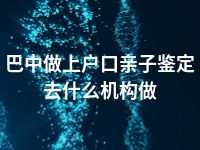 巴中做上户口亲子鉴定去什么机构做