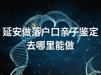 延安做落户口亲子鉴定去哪里能做