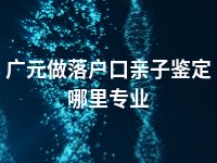 广元做落户口亲子鉴定哪里专业