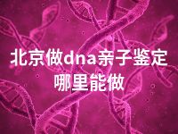 北京做dna亲子鉴定哪里能做